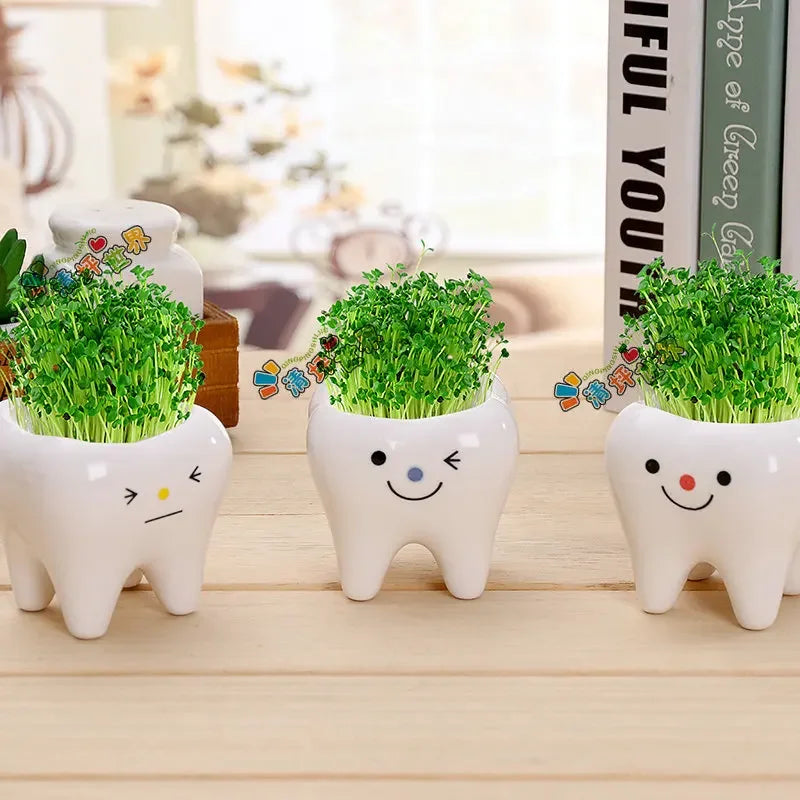 pots céramique porcelaine forme dents plante verte expression faciale decoration mignonne originale