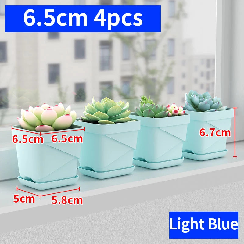 petit pot fleurs blanc plastique moderne cactus succulentes plateau intégré