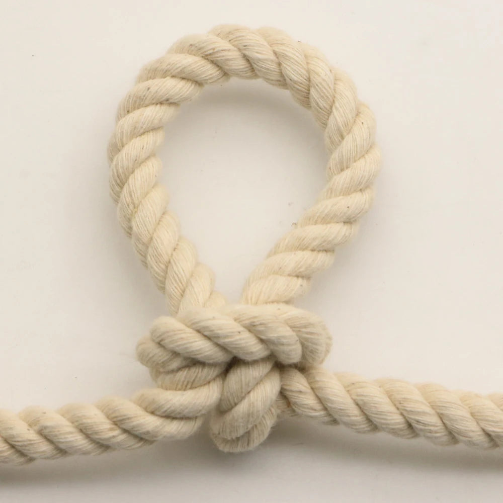 corde coton torsadée 3mm 4mm 5mm 6mm 10mm rustique sac vêtement textile maison