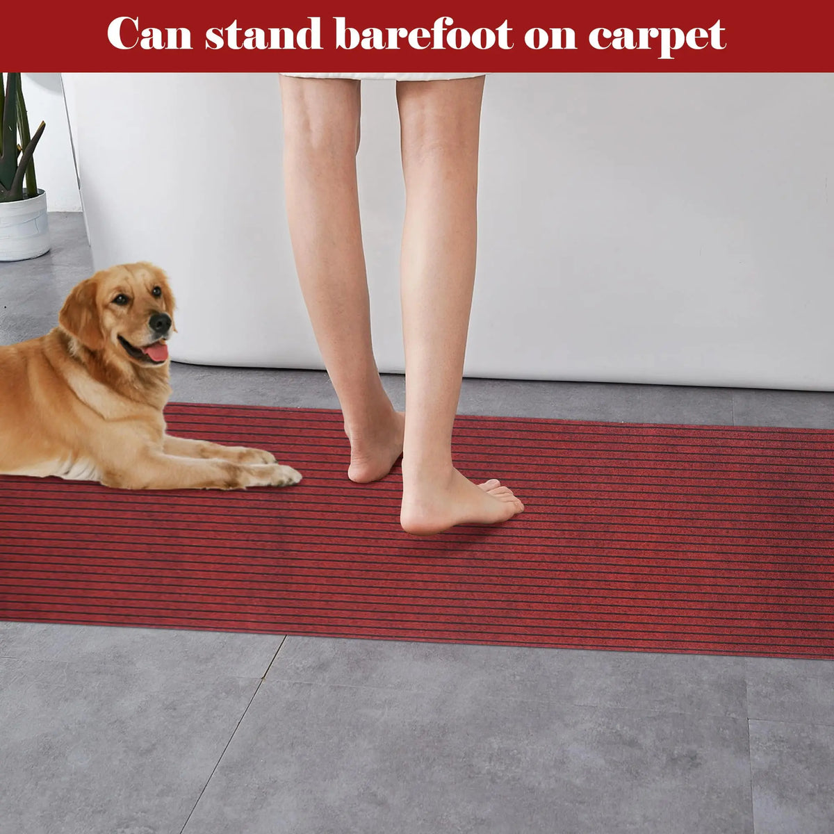 tapis rayé gris moderne polypropylène chambre rectangle absorption 60x120cm lavage main