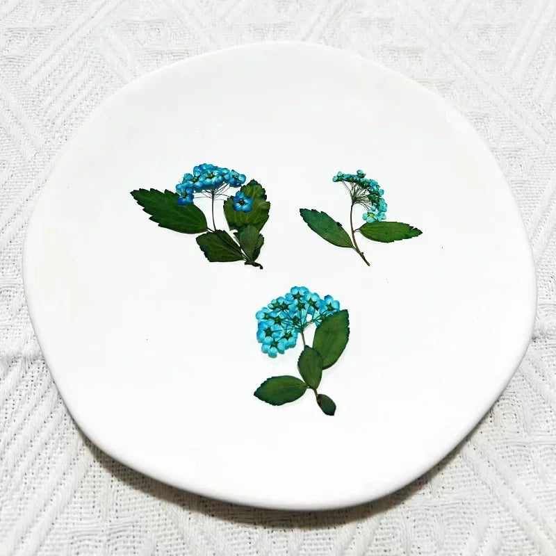 fleurs séchées bouquet blanc vert feuilles naturelles décoration artisanale intérieur anniversaire rustique