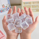 boîtes rangement transparentes plastique clips bijoux transport modernes pratiques petites