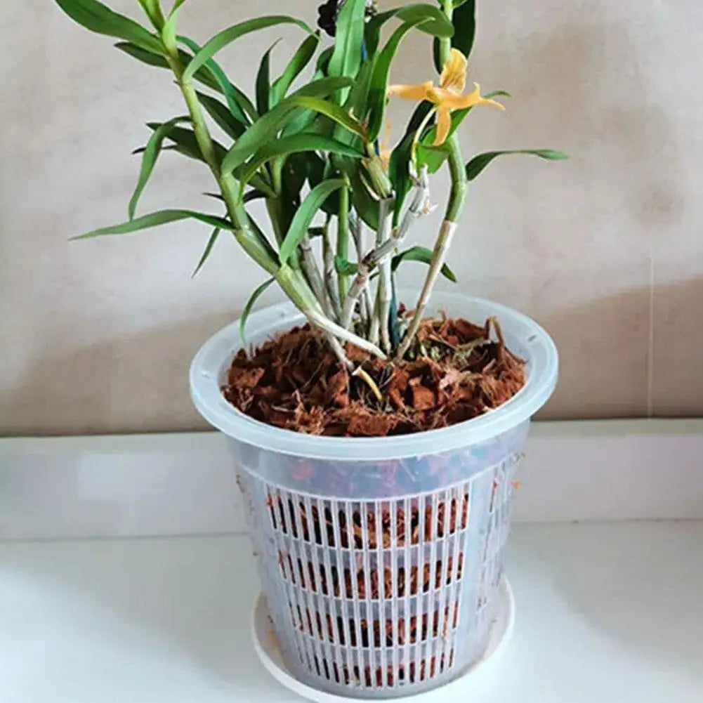 Pot plante transparent moderne grille internes contrôlant racines drainage 11 14 16 19cm