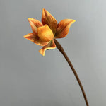 décoration intérieure orchidée artificielle branche feuilles vertes pétales colorées naturelle maison festive