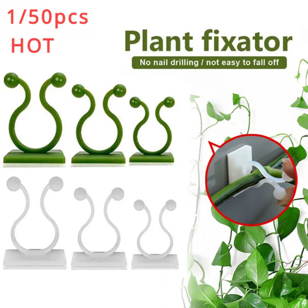 fixateur mural plantes adhésif plastique vert simple moderne support plante colles