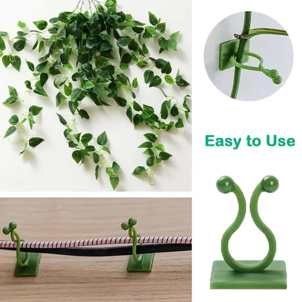 clips fixation murale plantes grimpantes support jardin vert motif feuilles adhésif invisible accessoires