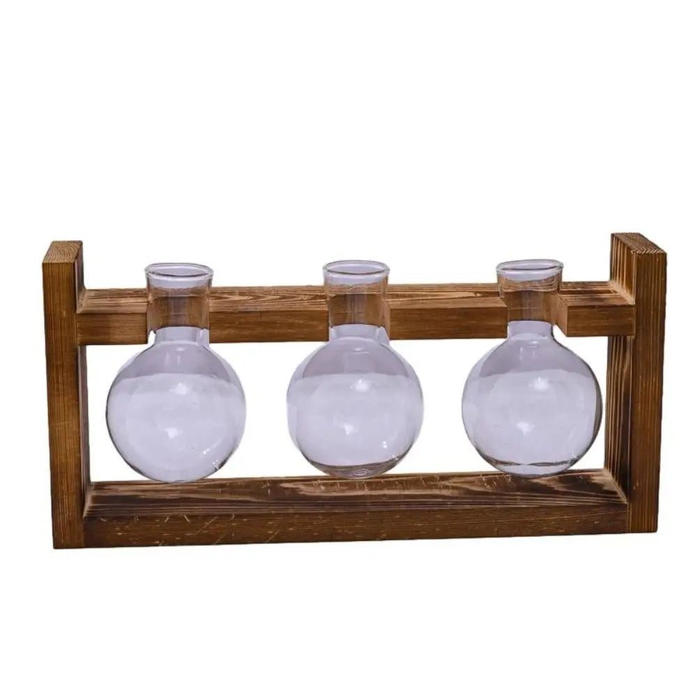 vases transparents modernes verre rond geometrique decoration plante verte