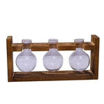 vases transparents modernes verre rond geometrique decoration plante verte