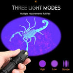 lampe torche uv portative 365nm 395nm zoomable étanche animaux scorpions billets fluorescence