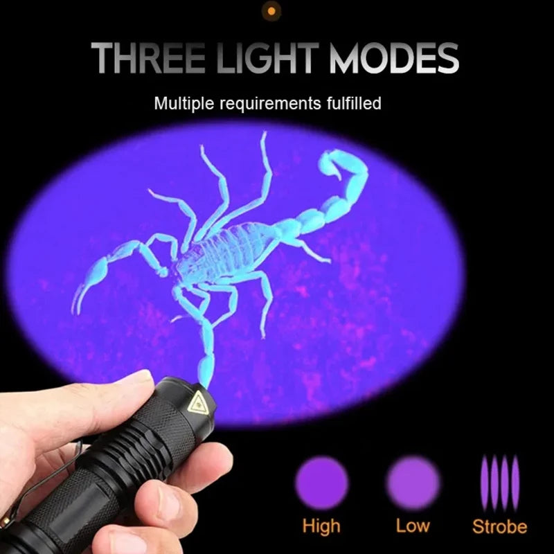 lampe torche uv portative 365nm 395nm zoomable étanche animaux scorpions billets fluorescence