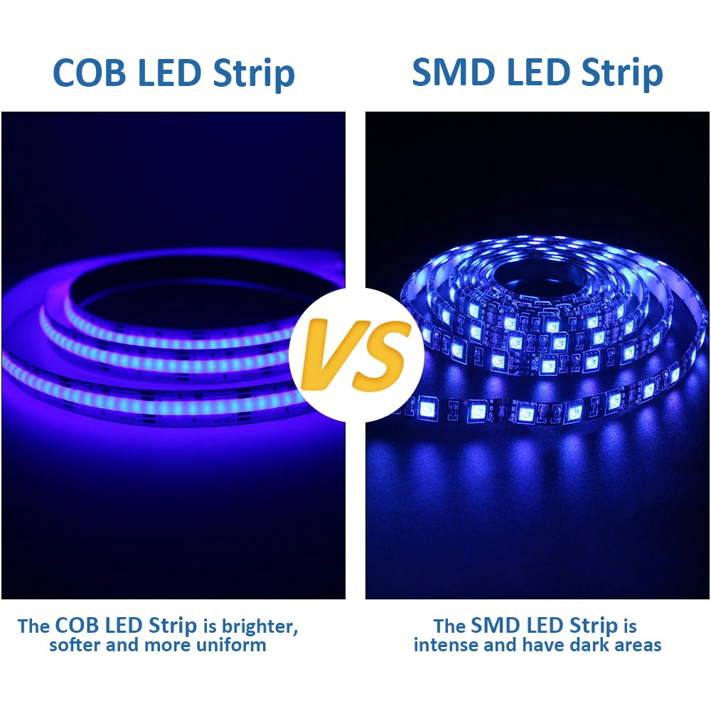 Comparaison des différentes longueurs de ruban LED COB RGB disponibles