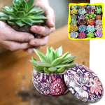 pots métalliques multicolores motifs floraux bohémiens pots bougies succulentes terreau