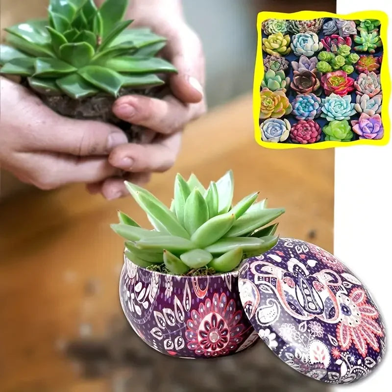 pots métalliques multicolores motifs floraux bohémiens pots bougies succulentes terreau