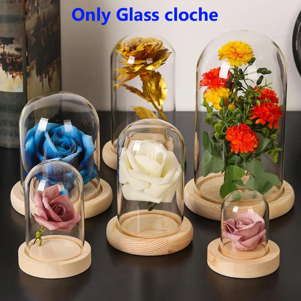 cloche verre transparent moderne base bois fleurs artificielles hermétique qualité alimentaireDecorationMaisonStockageFleurs