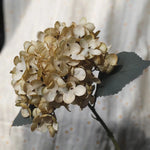 Décoration intérieure bouquet hortensia artificiels soie rose blanc vert classique mariage anniversaire chambre