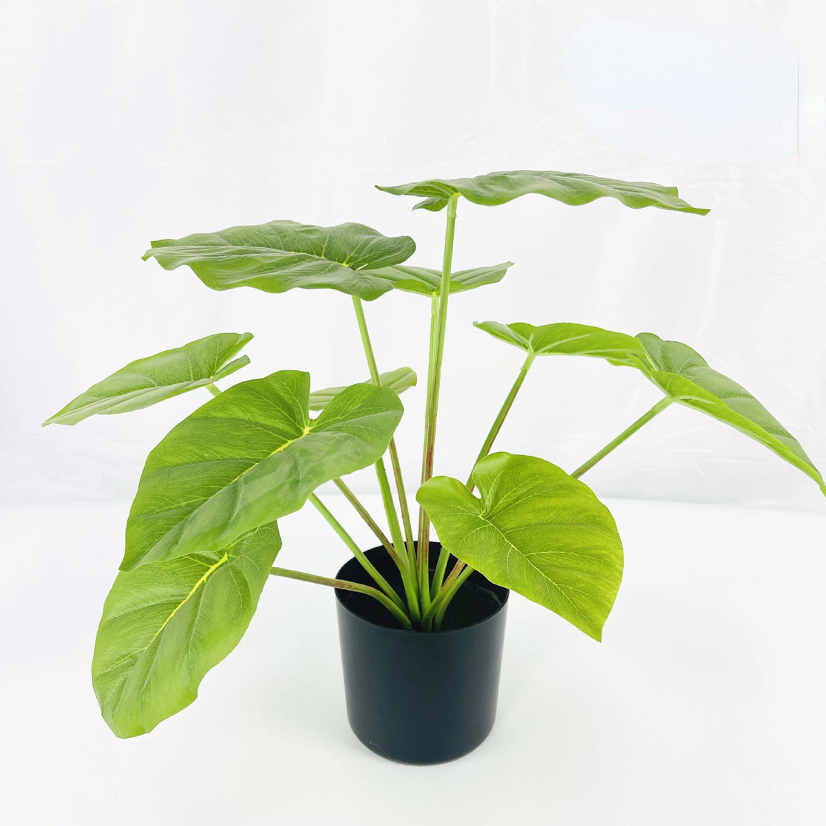 plante artificielle décorative feuilles vertes blanches rouges salon maison moderne naturel