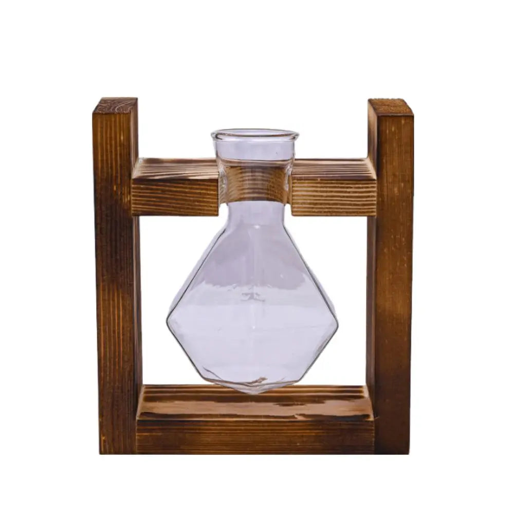 vases transparents modernes verre rond geometrique decoration plante verte