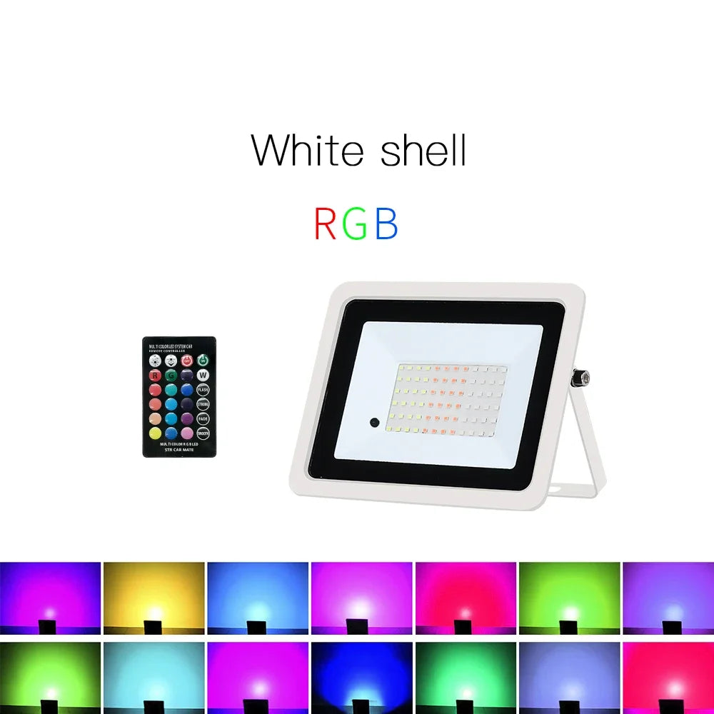 projecteur led rgb moderne télécommande certifications ip68 24v 110v 220v