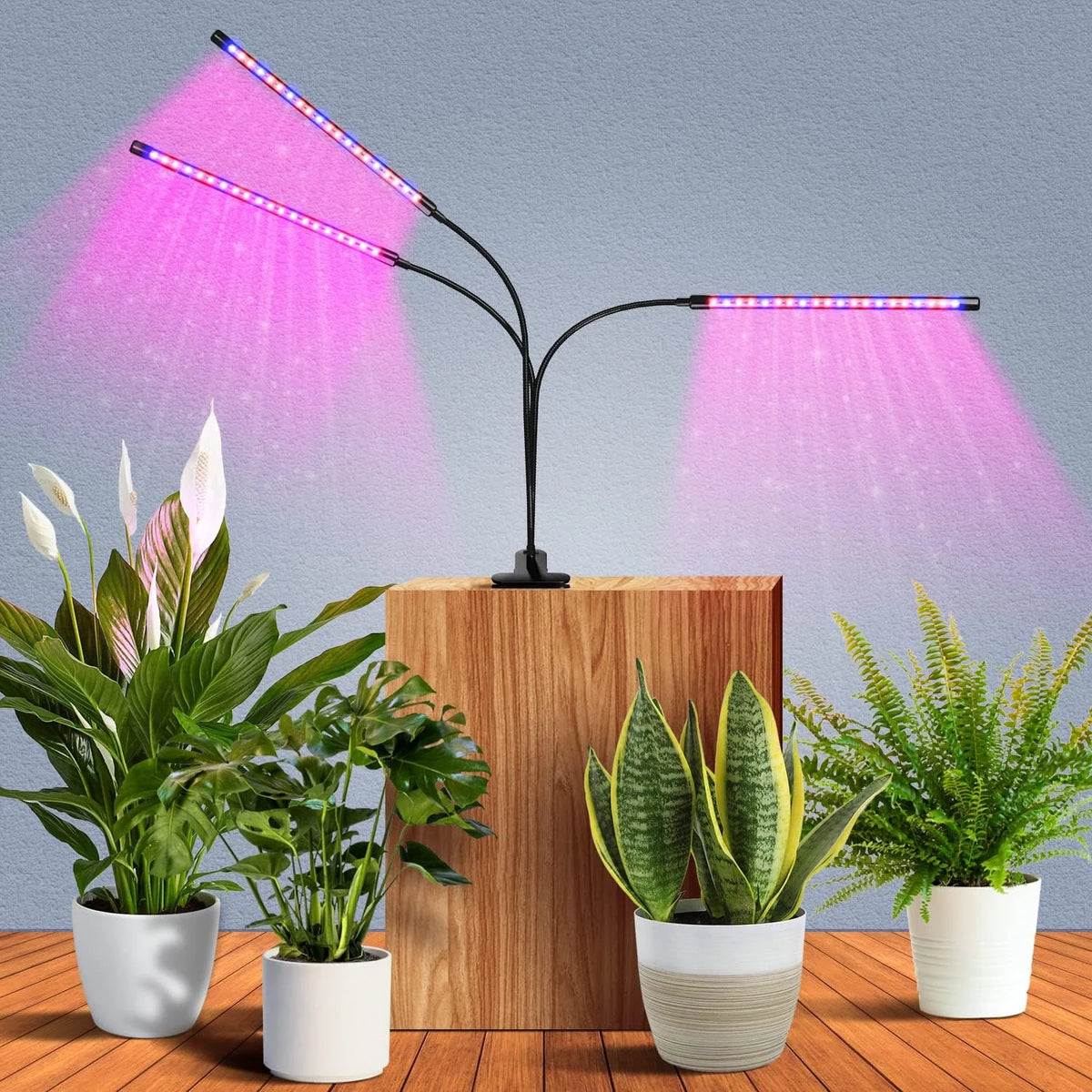 lampe led plante noire controle luminosite bouton alimentation bras flexibles clips moderne