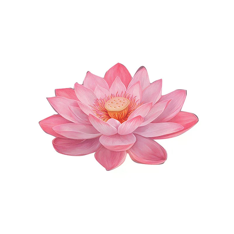 sticker mural fleur lotus rose clair blanc decoration maison chambre salon lumineux amovible autoadhésif