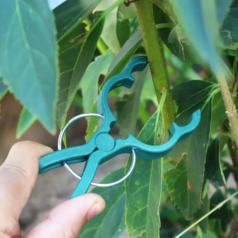 pinces végétaux vertes modernes plastique fixations support plantes 10pcs 20pcs 30pcs 50pcs