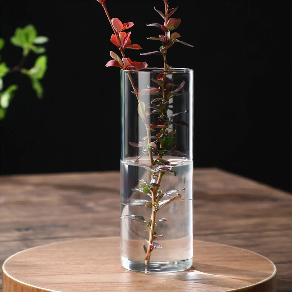 vase moderne transparent hydroponique table maison mariage fleurs artificiellements