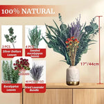 bouquet fleurs séchées naturel eucalyptus lavande vert jaune violet décoration intérieure bohème rustique