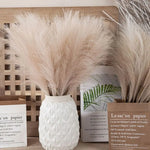 décoration bohème fougères plumeuses vases texturés bouquets naturels intérieur minimaliste rustique