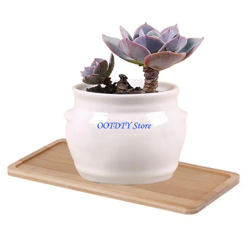 plateau pot fleur bois clair bord arrondi plante artificielle rose succulente pot céramique blanc