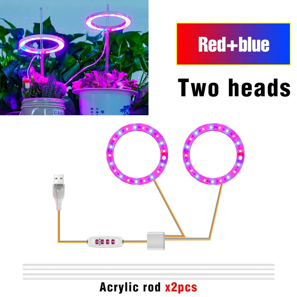 lumière croissance led usb 5v pink red blue sunlight controle remote moderne hydroponique