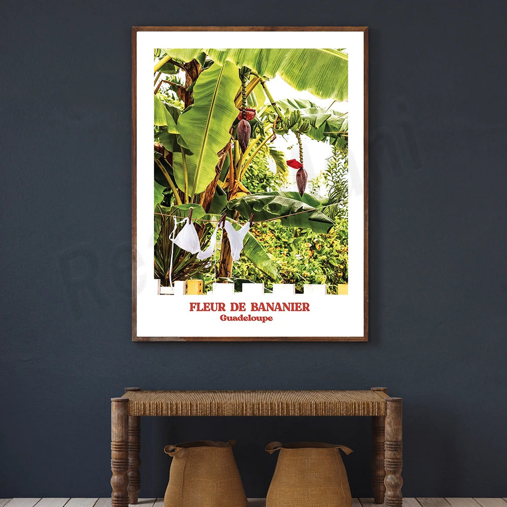 Une photographie captivante d'une fleur de bananier avec des feuilles vertes luxuriantes et des fruits en développement, prise en Guadeloupe et présentée avec un titre descriptif.
