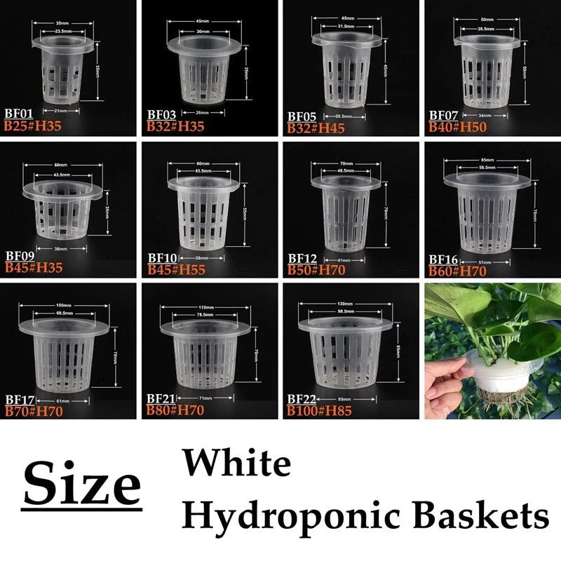 paniers hydroponiques blancs perforations circulaires modernes pots culture plantes aéroponique pépinièreClone