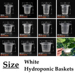 paniers hydroponiques blancs perforations circulaires modernes pots culture plantes aéroponique pépinièreClone