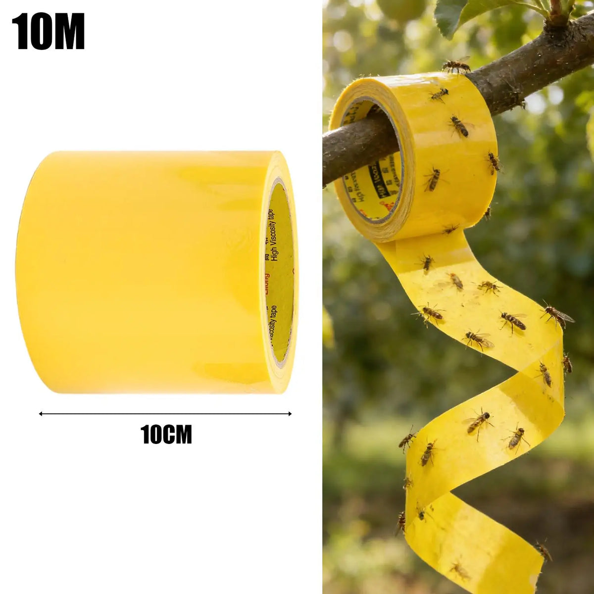 adhésif anti insectes protection arbres serre céréaliers bandes jaunes fourmis mouches moustiques