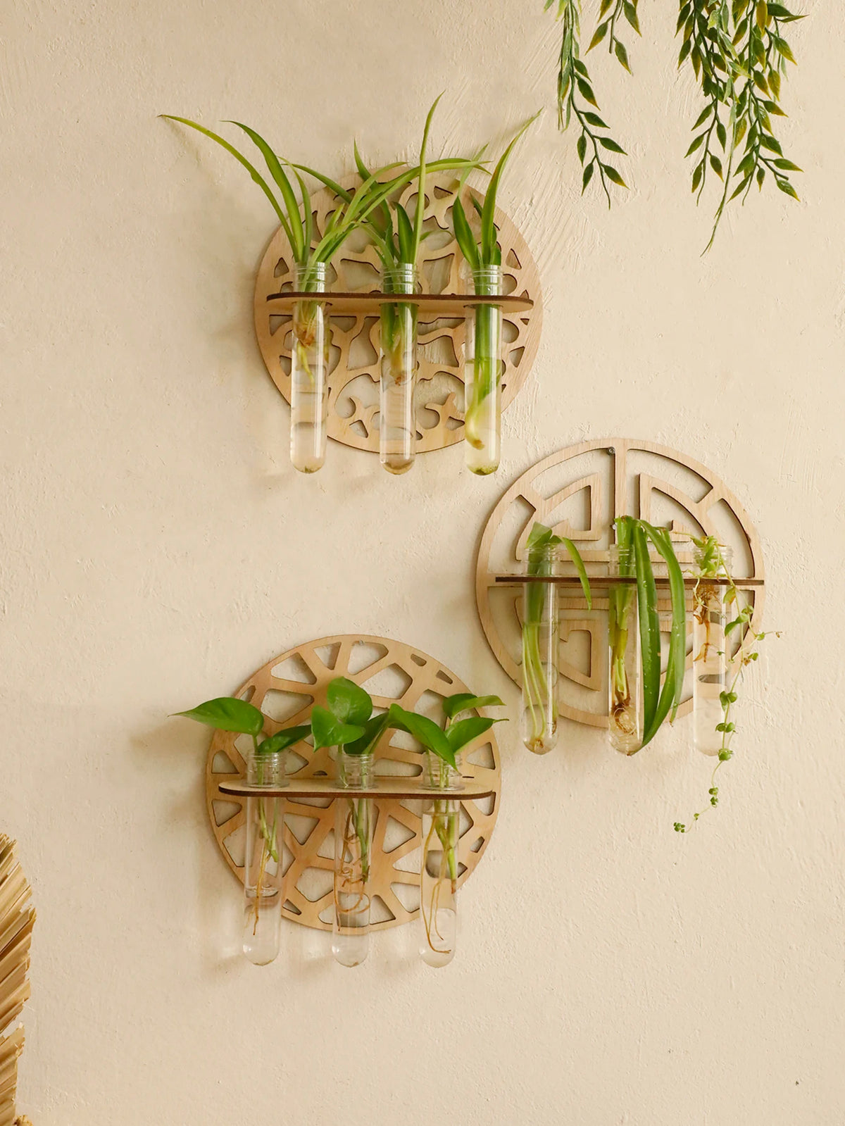 décoration murale étagère bois tubes essai géométrique moderne plantes vertes gravure opaque fixations