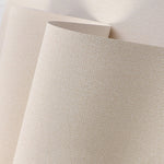 papier peint moderne minimaliste uni beige gris résistant humidité cuisine chambre salon