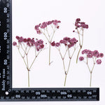 bouquet fleurs séchées naturelles variées bleu vert violet rouge jaunes ornement intérieur décoration artisanale
