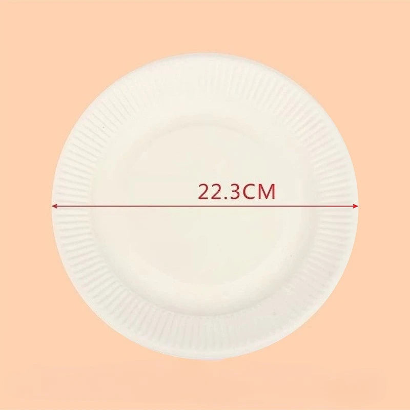 assiettes carton jetables blancs rayures verticales simples mariage anniversaire noël occasions fêtes 50 pièces