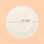 assiettes carton jetables blancs rayures verticales simples mariage anniversaire noël occasions fêtes 50 pièces
