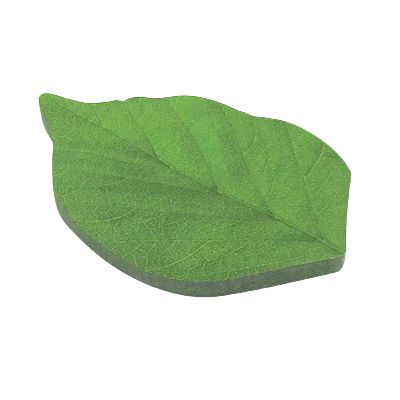 feuilles vertes autocollantes notes forme feuille naturelle minimaliste bloc 50 feuilles