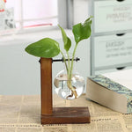 vases verre transparents plantes vertes support bois industriel décoration minimaliste