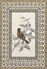 affiches imprimées oiseaux fleurs vintage classiques intérieur salon chambre 20x30cm 30x40cm 40x60cm 50x70cm