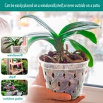 pots plantes transparents perforés modernes plateaux 11 12.5 14 15 17cm orchidées
