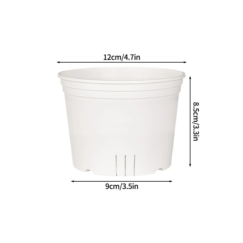 pots semis transparents blancs modernes grille drainage plantes