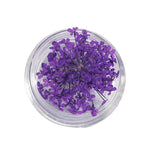 décorations nail art fleurs séchées violet rose vert rouge orange blanc naturel strass ongles