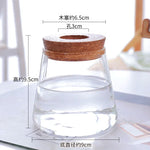 vase verre transparent plante aquatique moderne décoration intérieure nordiqueIKEbana esthétique