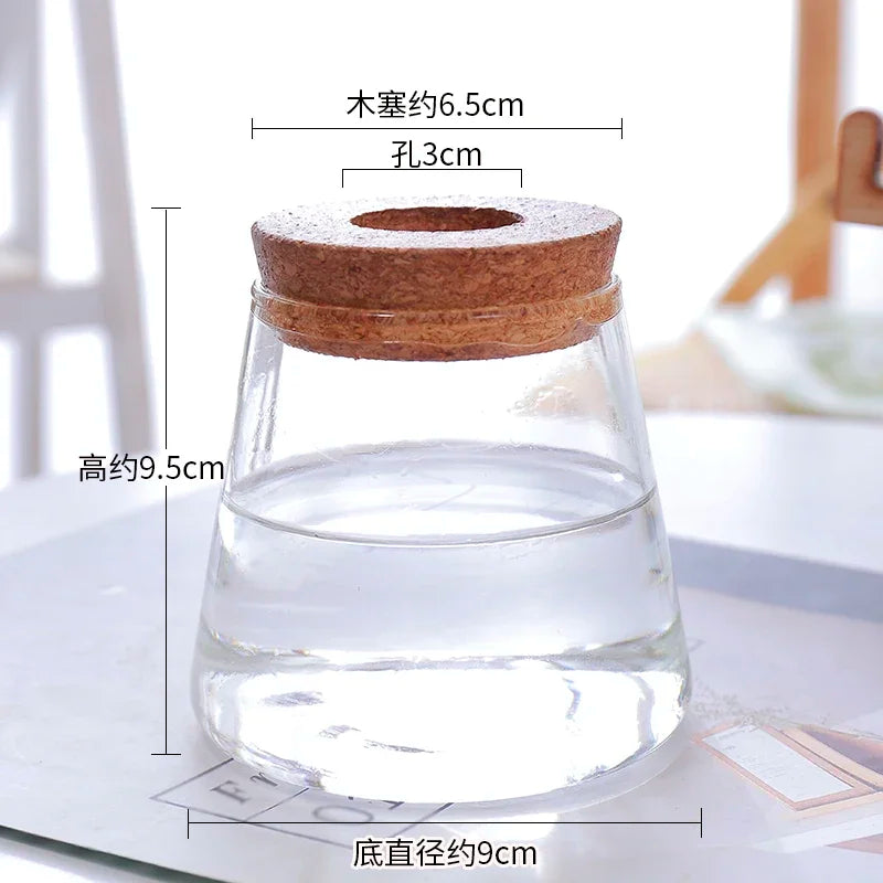 vase verre transparent plante aquatique moderne décoration intérieure nordiqueIKEbana esthétique