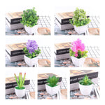 petite plante artificielle aloes pot blanc décoration moderne fleurs fausses vertes