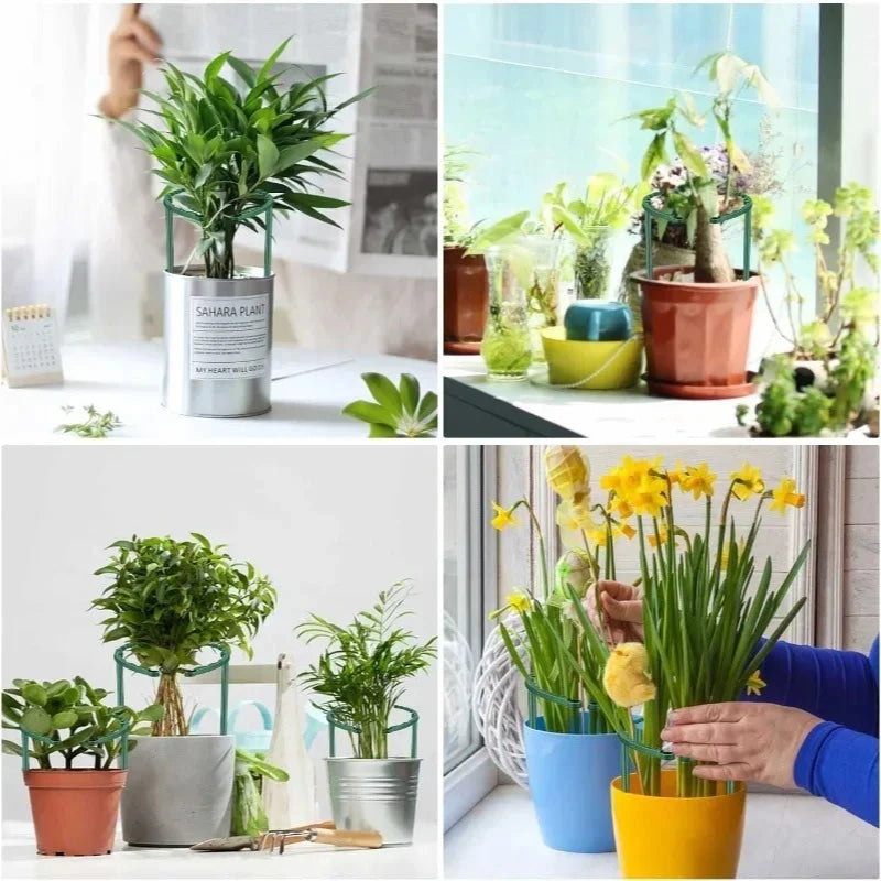 support plante plastique vert foncé moderne 12 pièces tiges fixations jardin fleurs