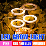 lumière croissance led usb 5v pink red blue sunlight controle remote moderne hydroponique